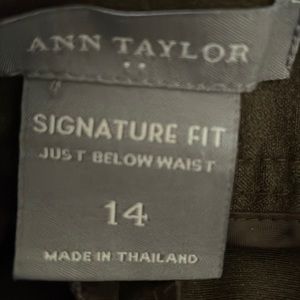 Brown dress slacks by Anne Taylor (need ironing)